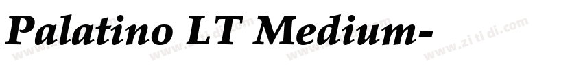 Palatino LT Medium字体转换